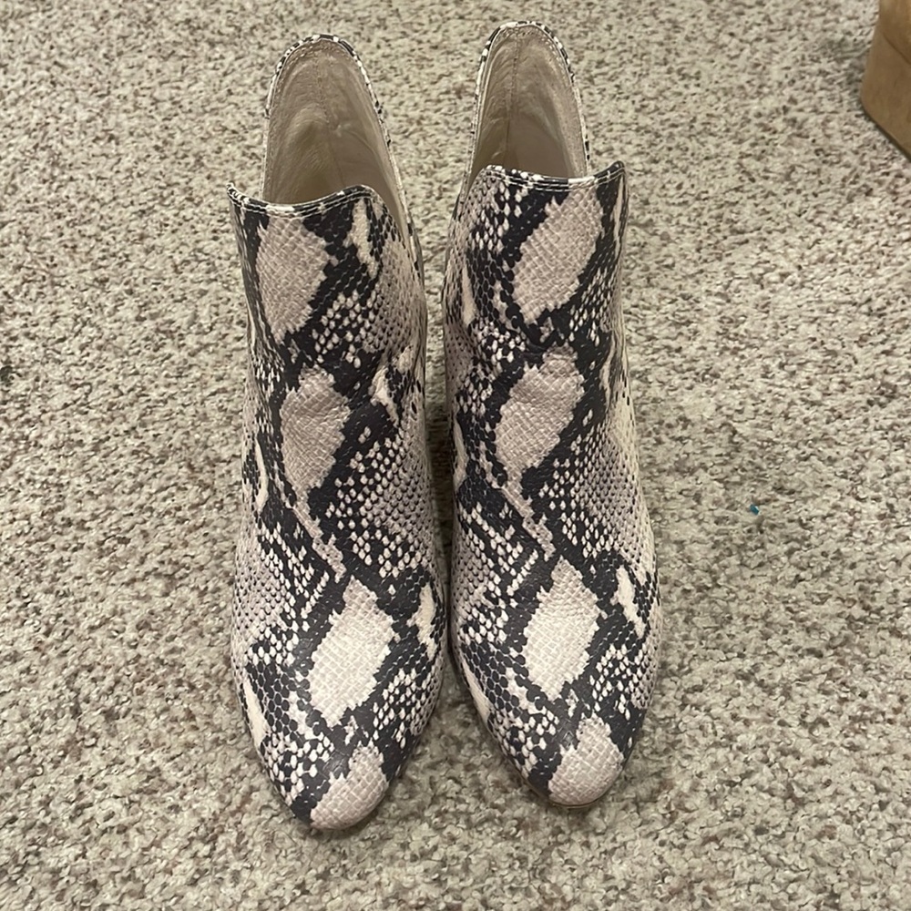 Steve Madden Snake Booties